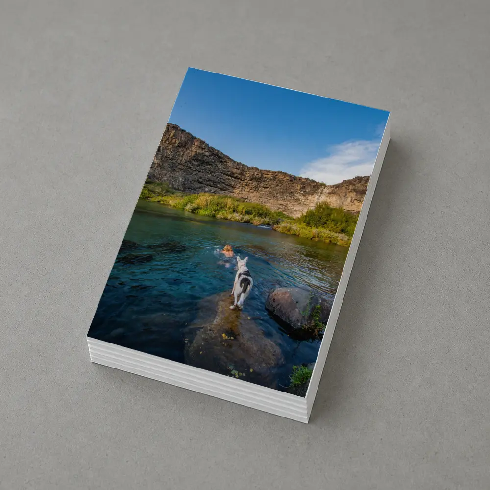 Border Collie Dog by Canyon River – Postcards