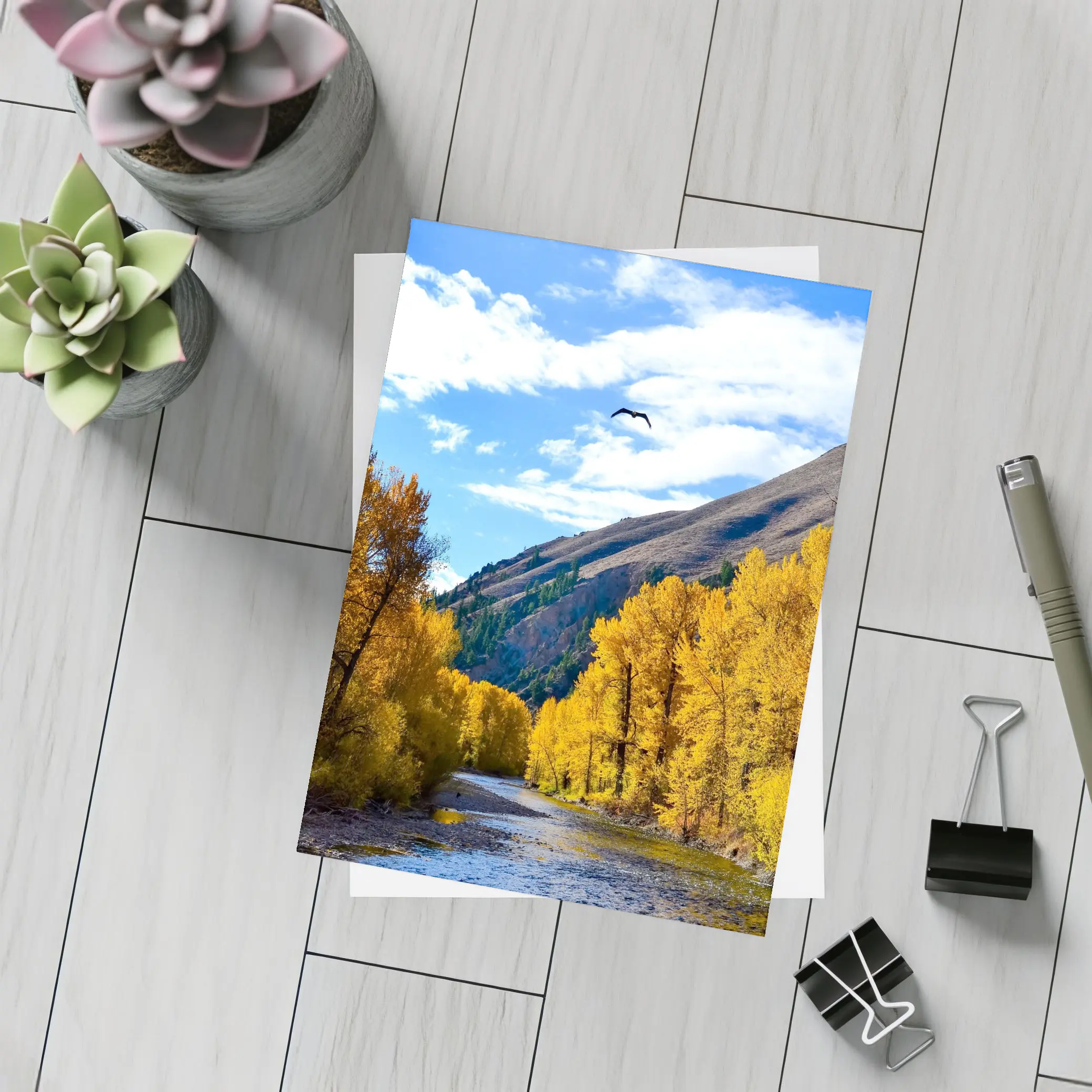 Autumn River Valley Eagle Blue Sky – Postcards