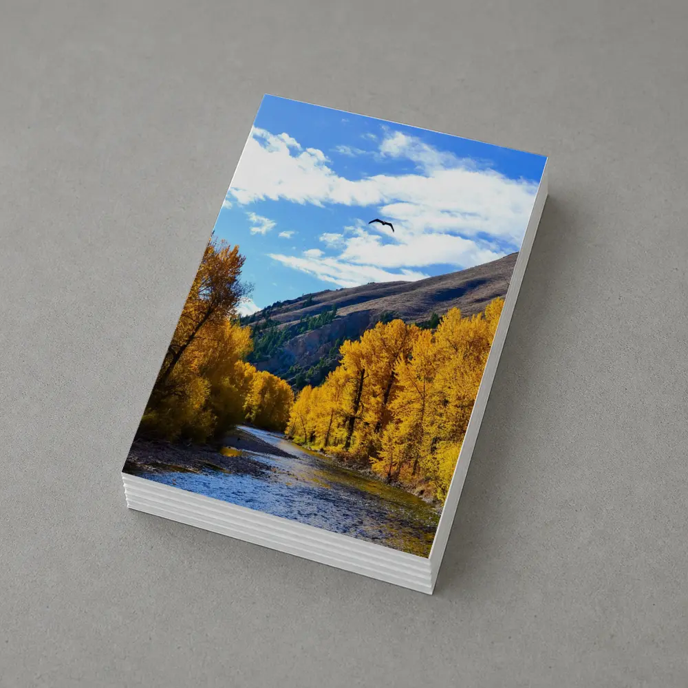 Autumn River Valley Eagle Blue Sky – Postcards