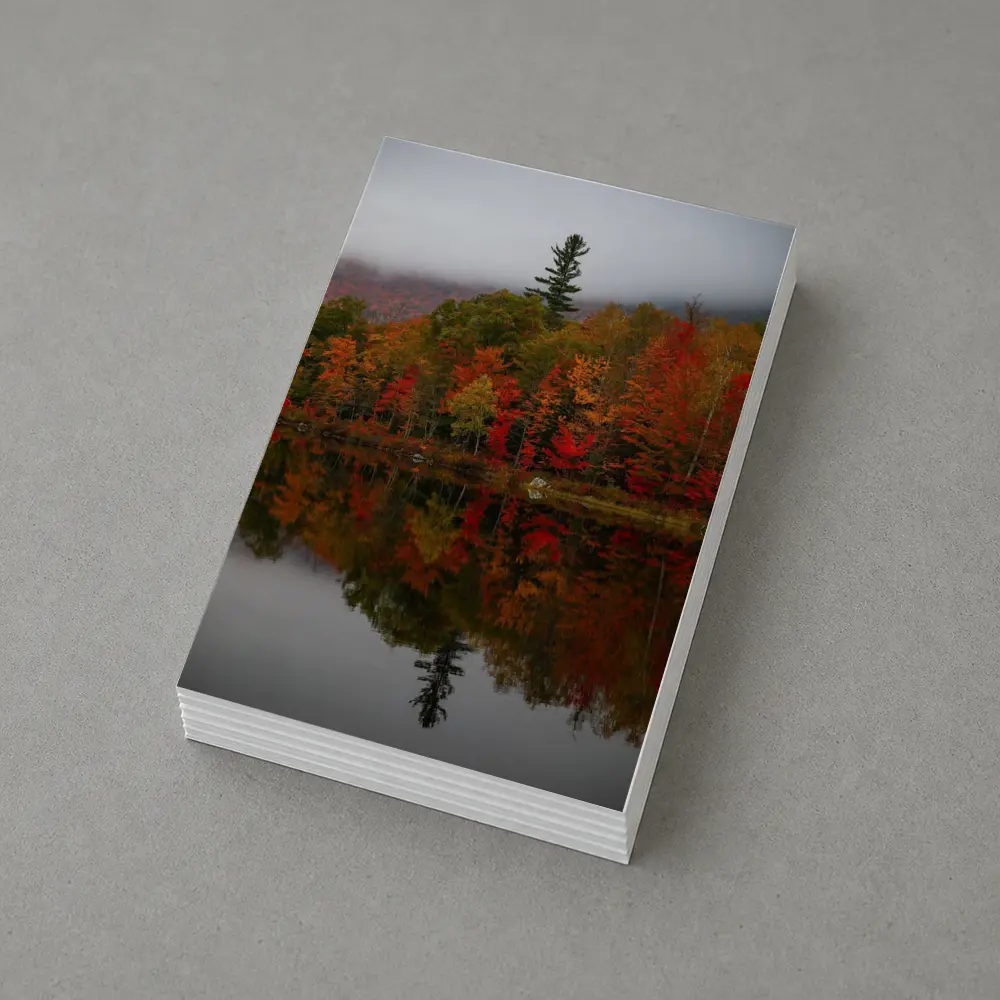 Autumn Forest Reflection Misty Lake Scene – Postcards