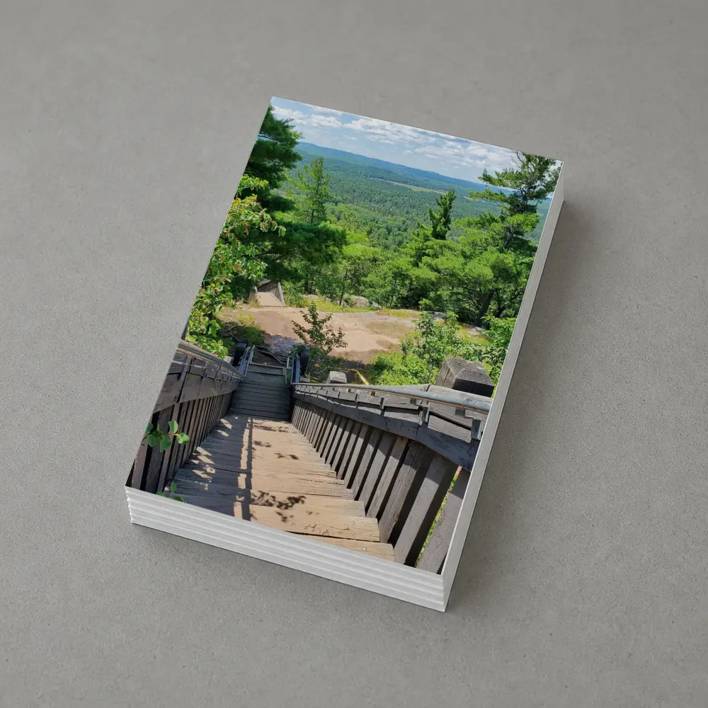 Wooden Staircase Overlooking Vast Forest Landscape – Postcards