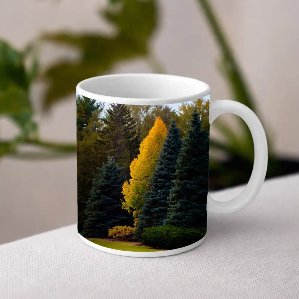 Yellow Autumn Tree Among Blue Spruce Forest – Mugs