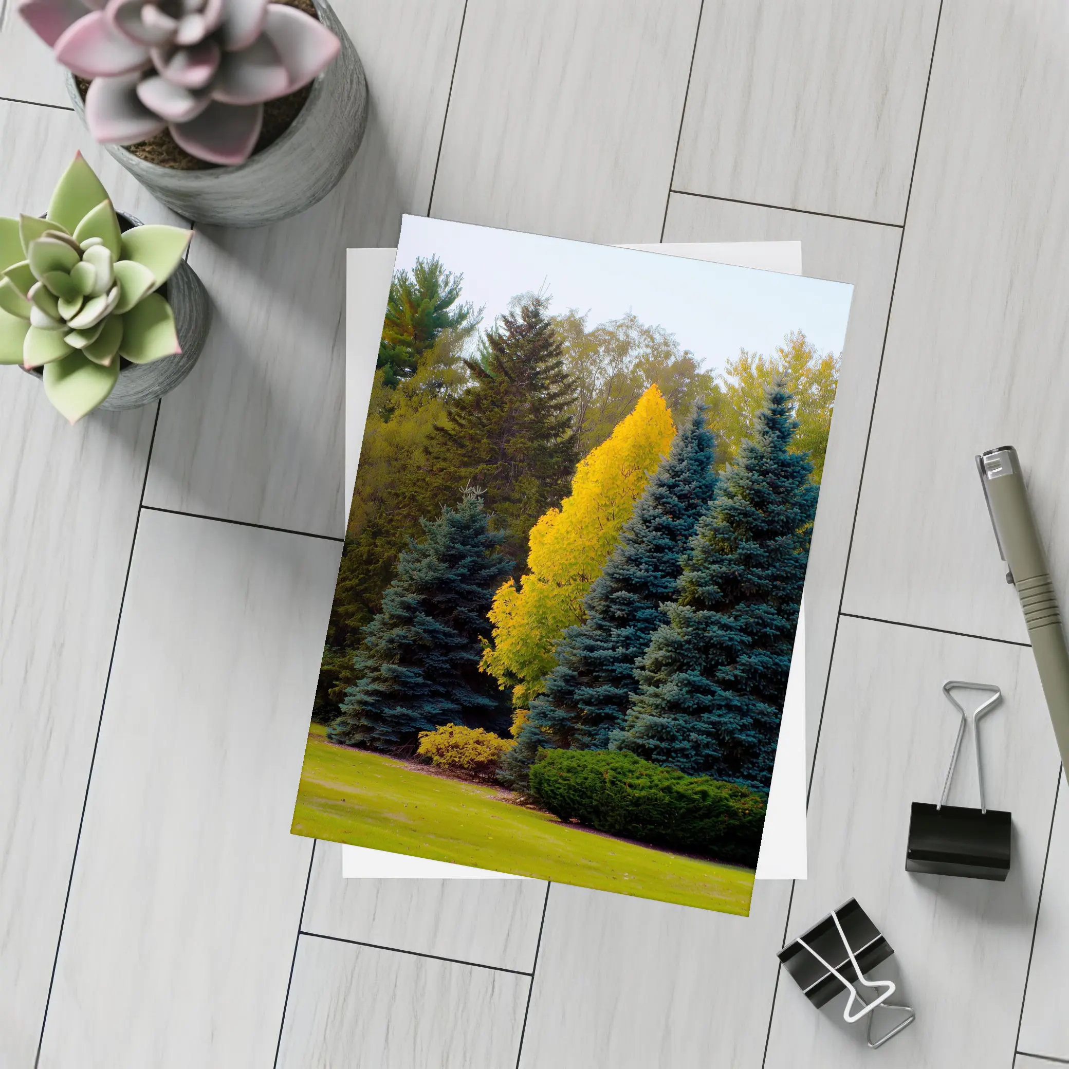 Yellow Autumn Tree Among Blue Spruce Forest – Postcards
