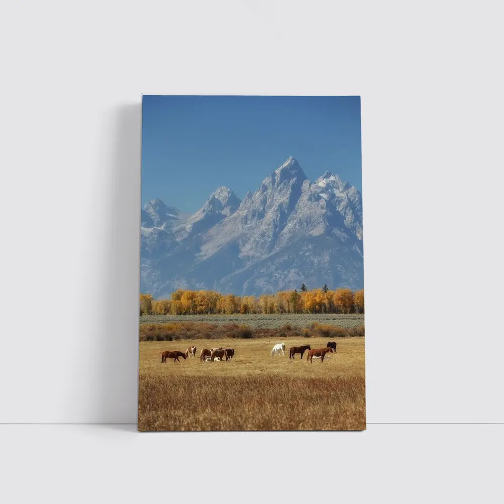 Horses Grazing Grand Teton Mountains Autumn – Wall Art