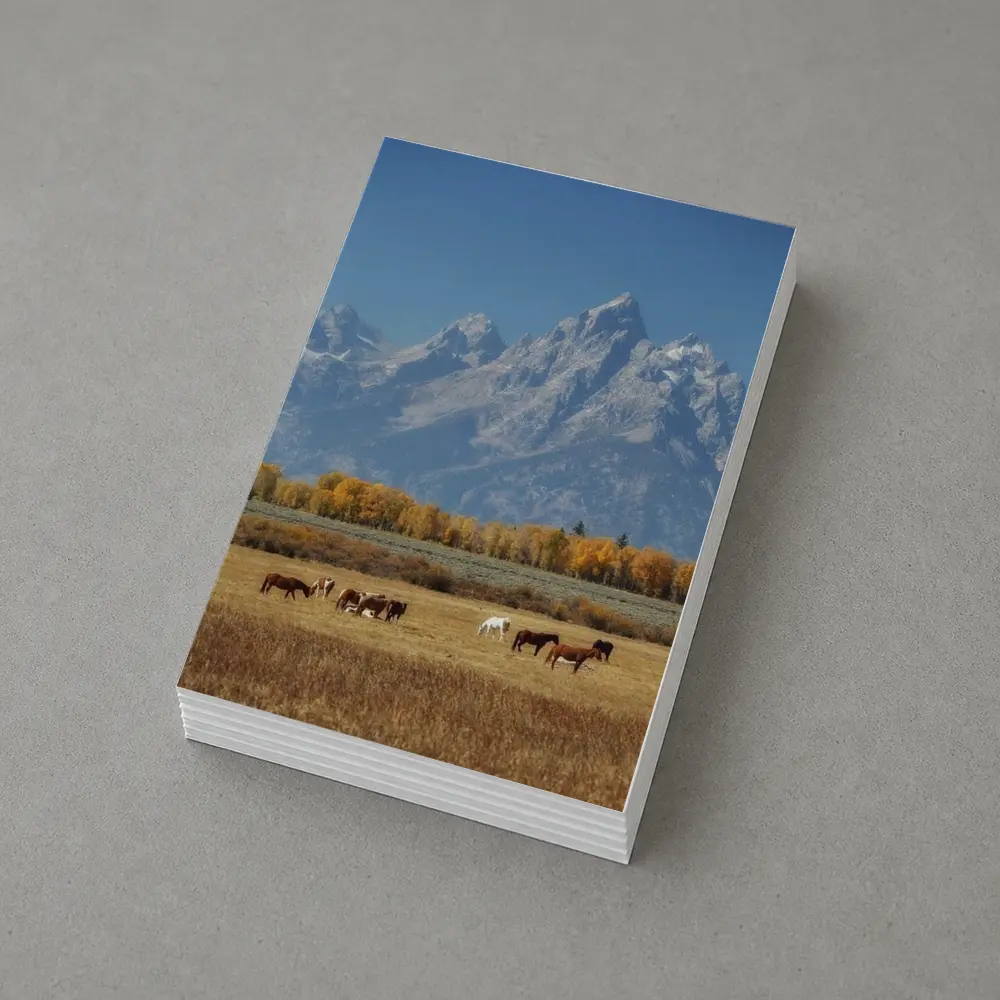 Horses Grazing Grand Teton Mountains Autumn – Postcards