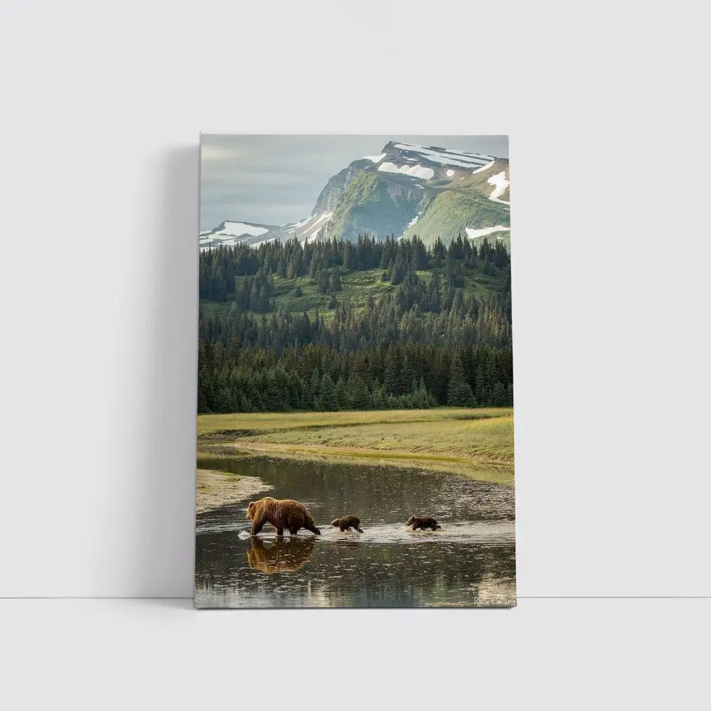 Grizzly Bears Crossing River Mountain Wilderness – Wall Art
