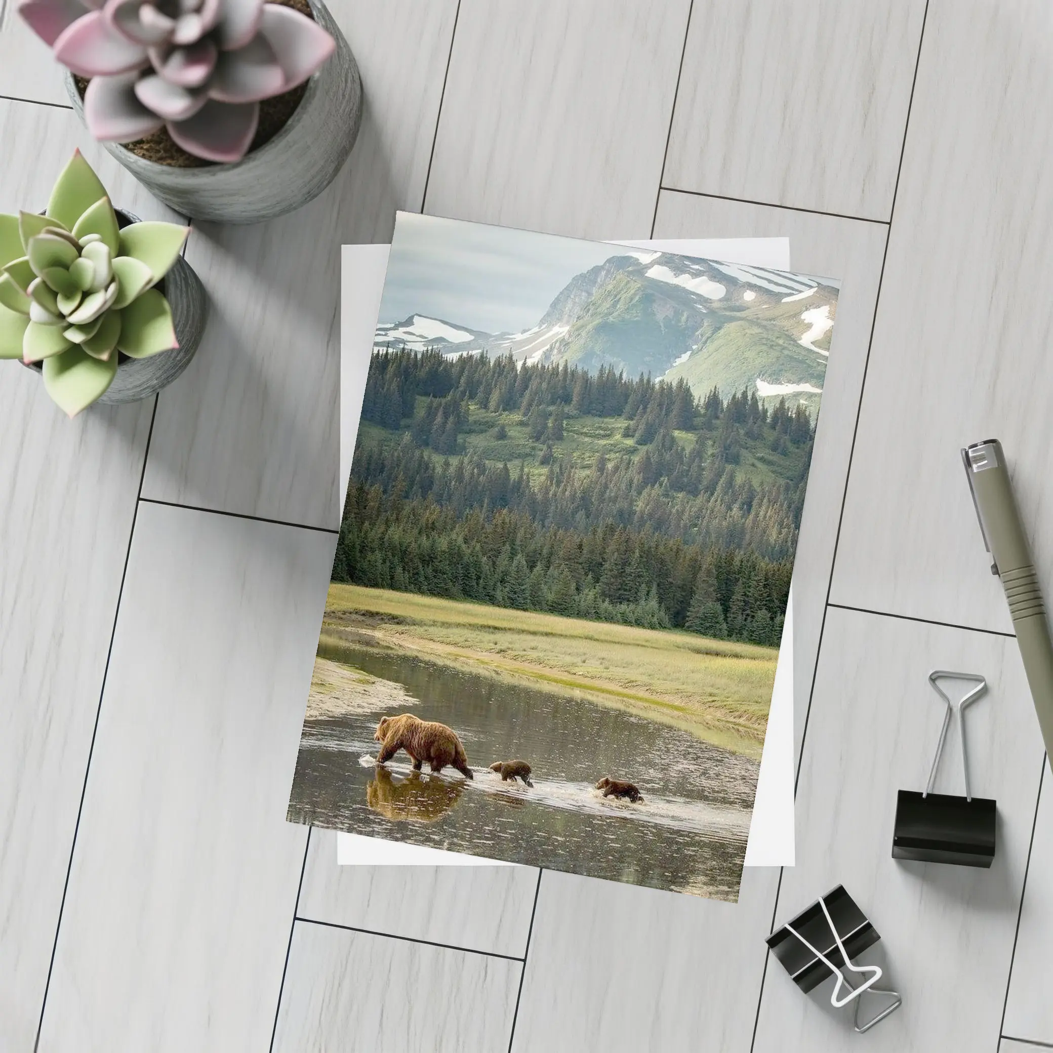 Grizzly Bears Crossing River Mountain Wilderness – Postcards