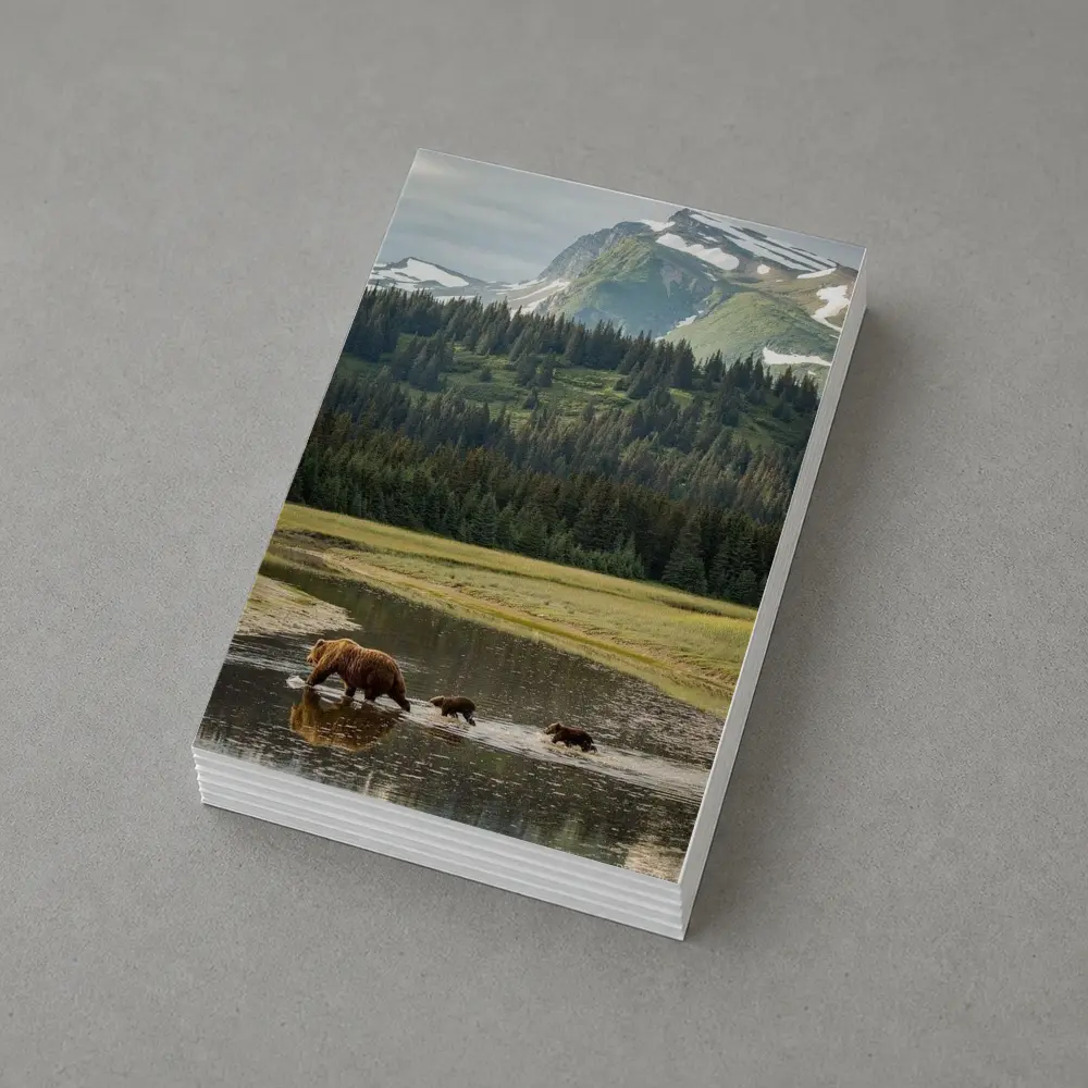 Grizzly Bears Crossing River Mountain Wilderness – Postcards