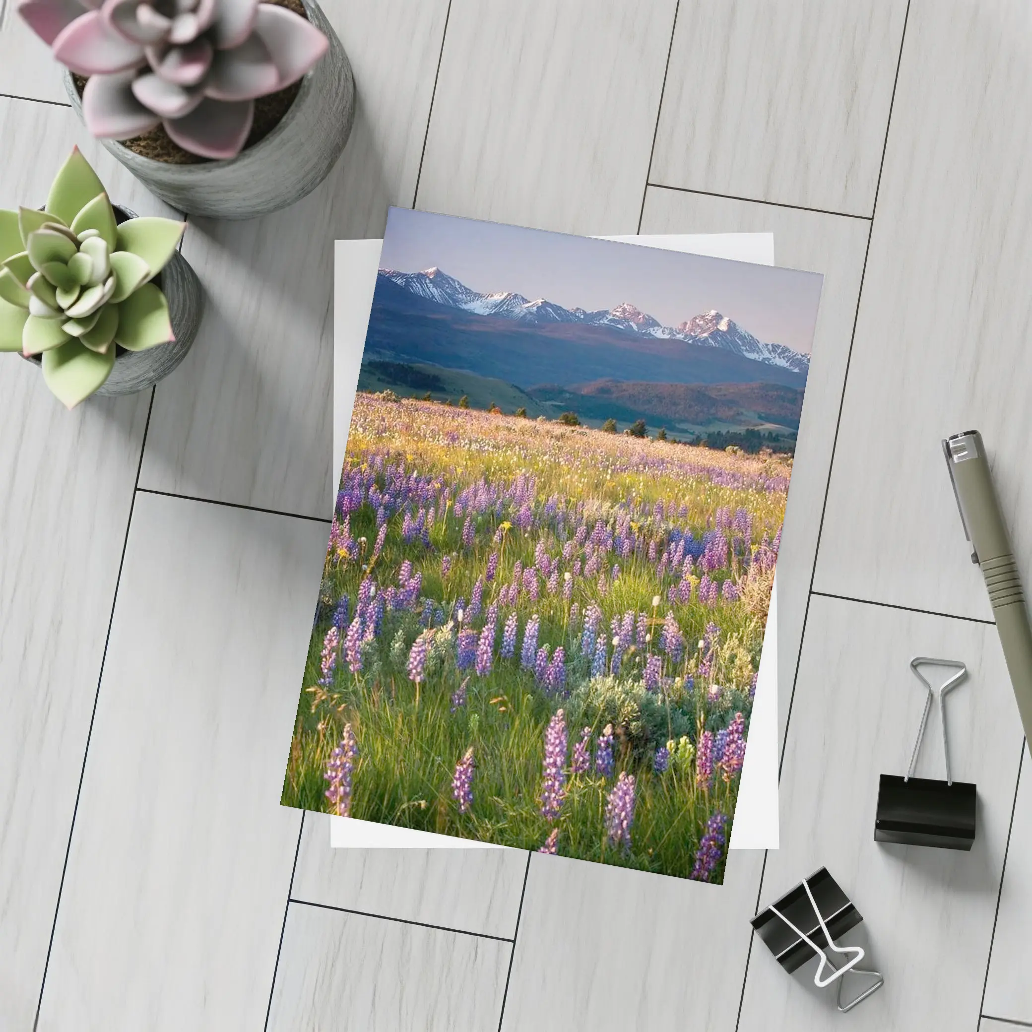 Lupine Wildflower Field Snow Capped Mountains – Postcards