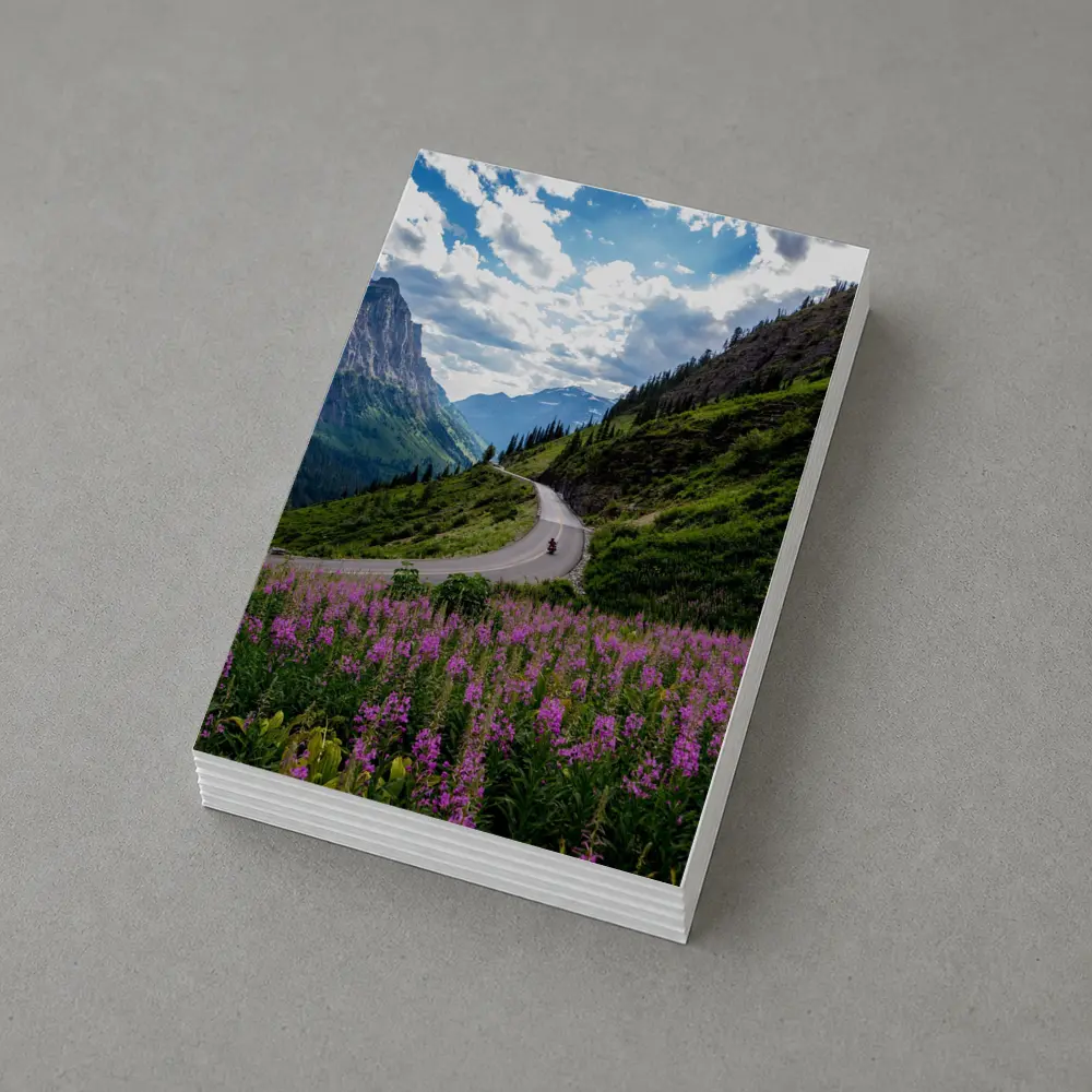 Motorcycle Winding Road Mountain Valley Wildflowers – Postcards