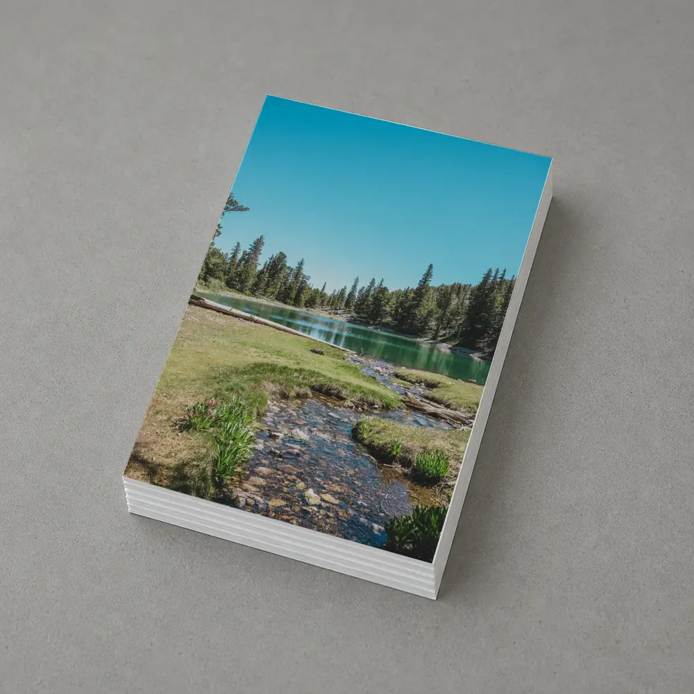 Alpine Lake Stream Pine Forest Clear Sky – Postcards