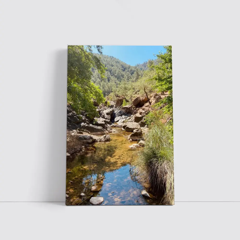 Rocky Creek Stream Forest Mountain Landscape – Wall Art