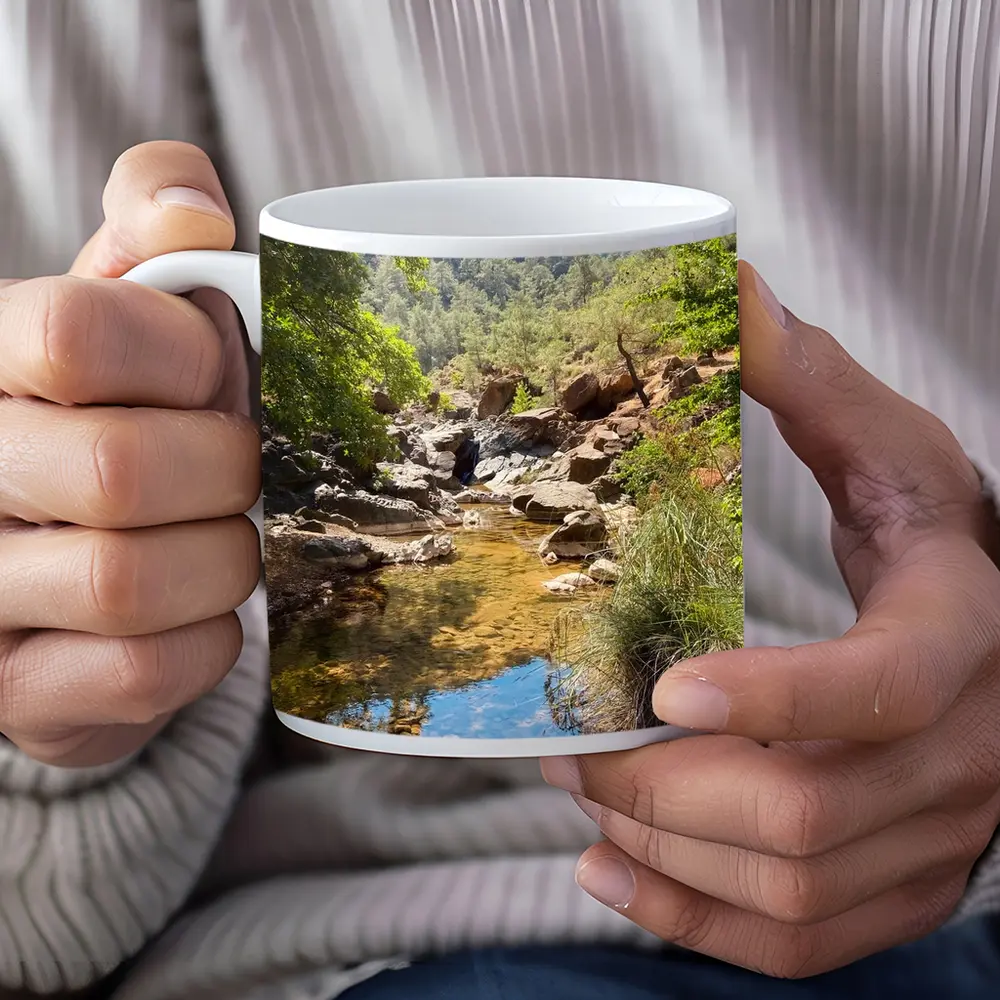 Rocky Creek Stream Forest Mountain Landscape – Mugs