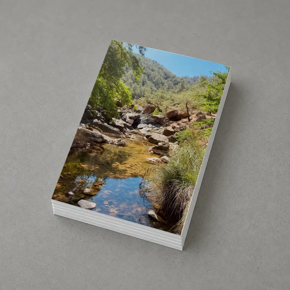 Rocky Creek Stream Forest Mountain Landscape – Postcards
