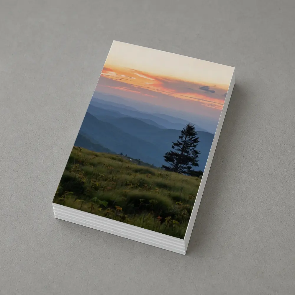 Lone Pine Tree Mountain Sunset Landscape – Postcards