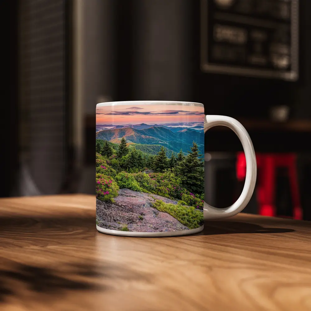 Blue Ridge Mountains Sunrise Pink Wildflowers – Mugs