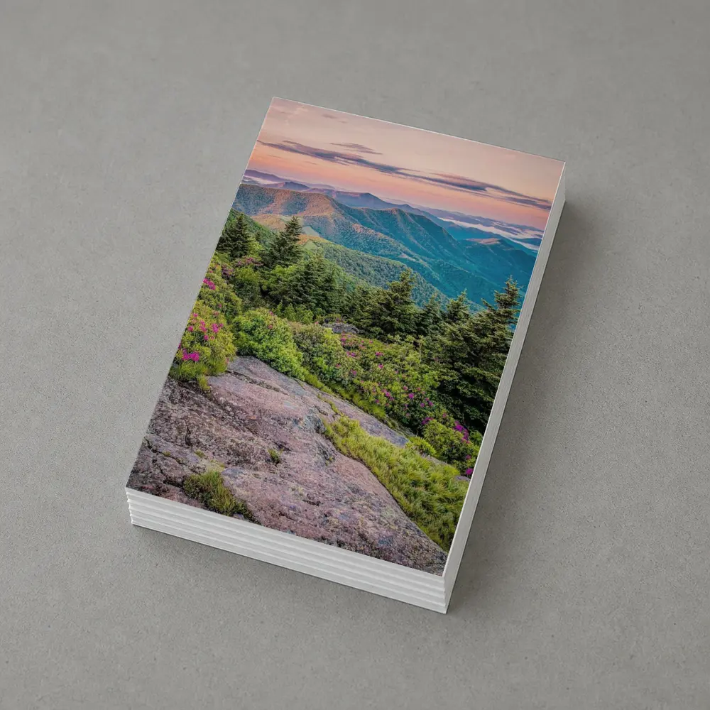 Blue Ridge Mountains Sunrise Pink Wildflowers – Postcards