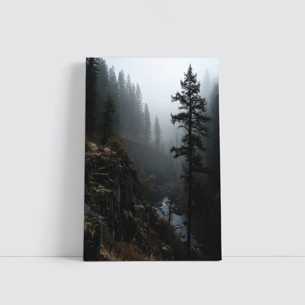 Foggy Forest Canyon River Dark Moody – Wall Art