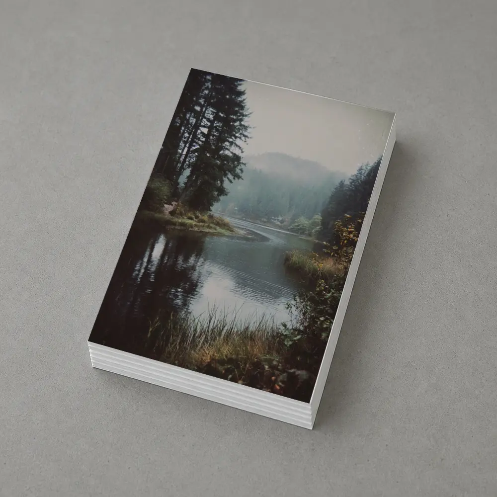 Misty Forest Lake Reflected Still Water – Postcards