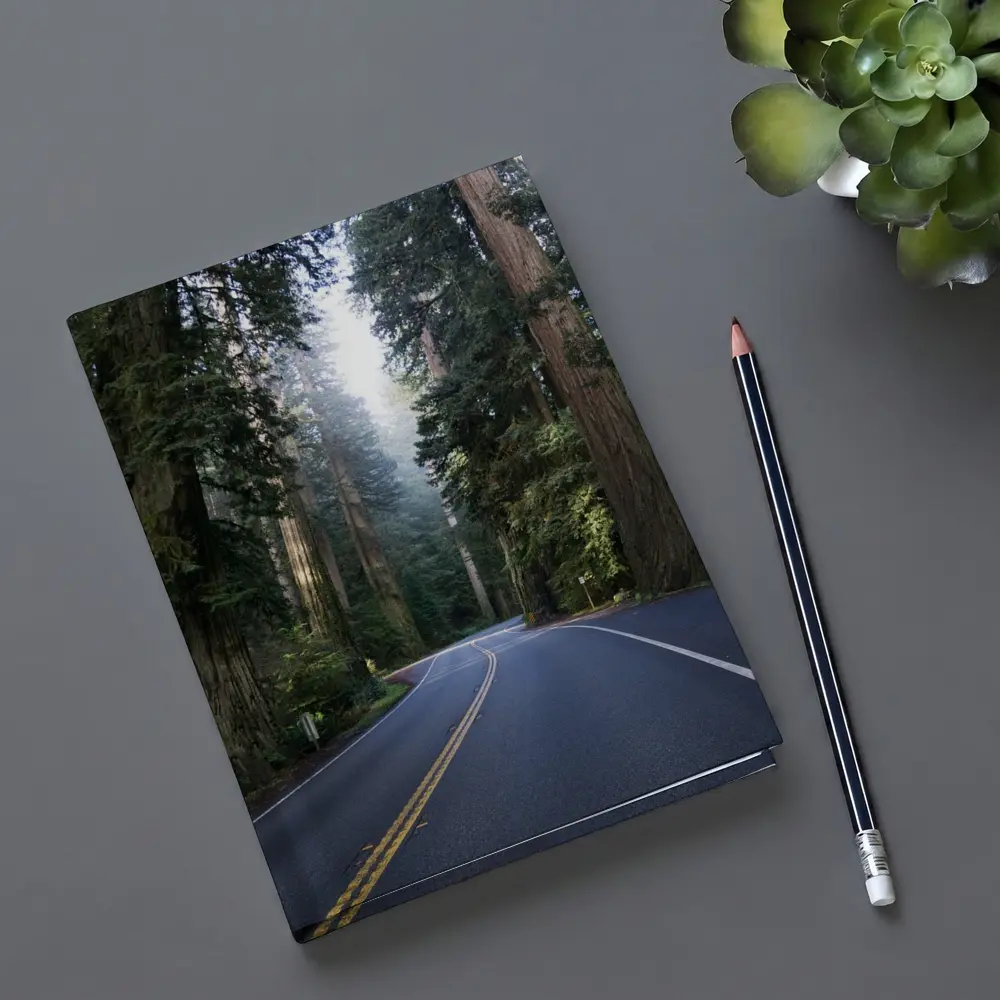 Misty Redwood Forest Road Tall Trees – Notebooks