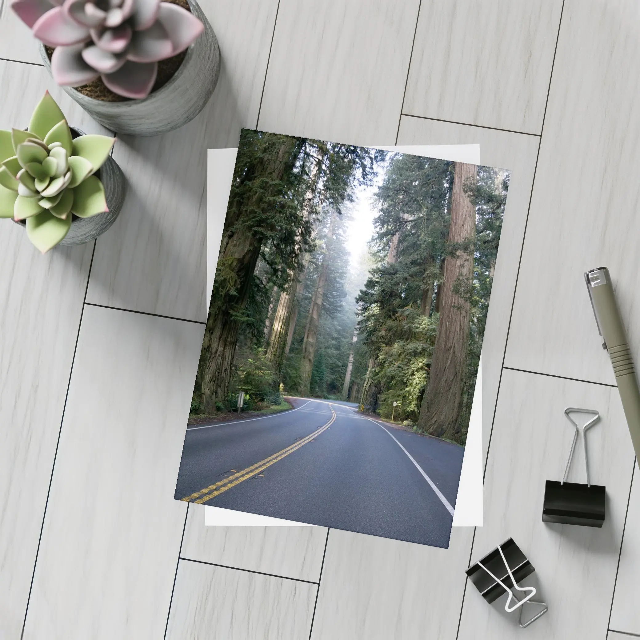 Misty Redwood Forest Road Tall Trees – Postcards