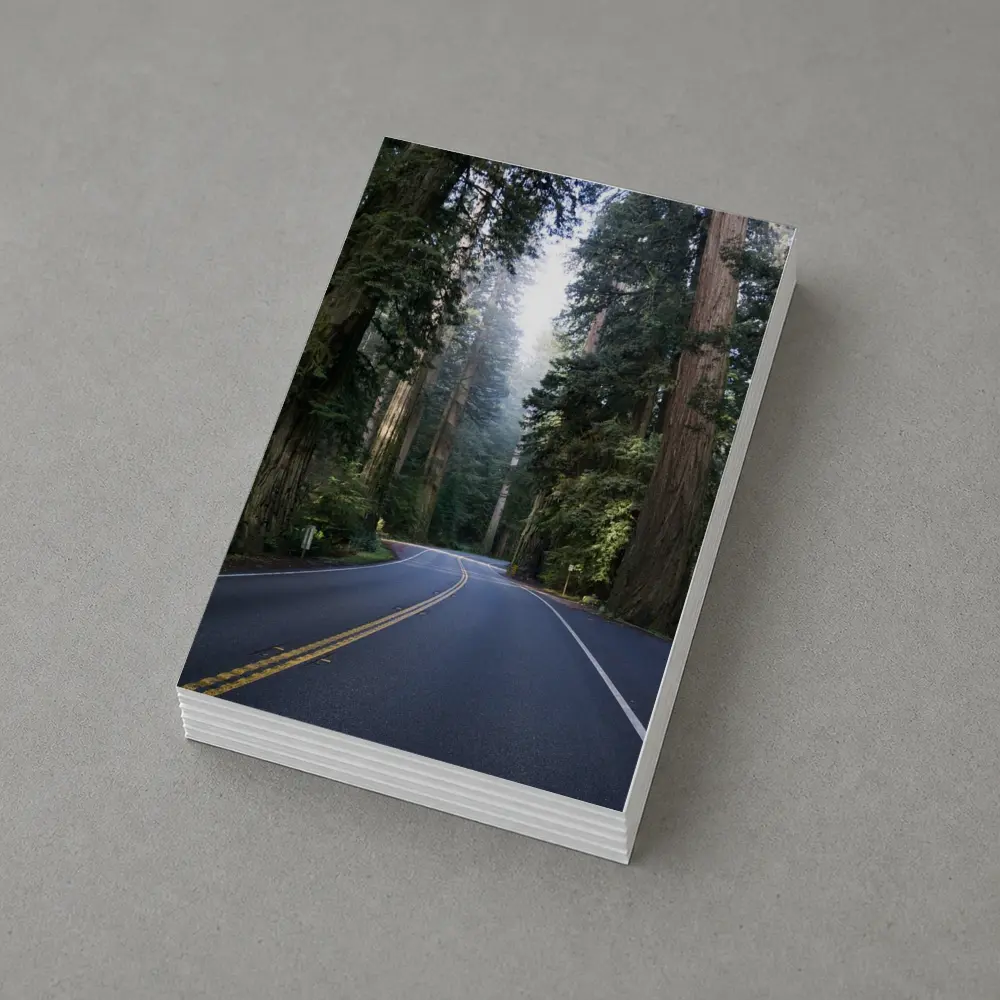 Misty Redwood Forest Road Tall Trees – Postcards
