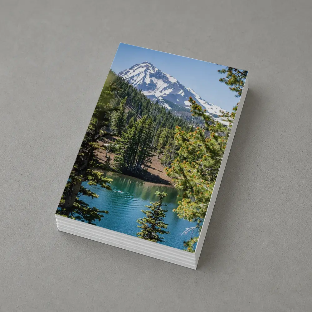 Snow Mountain Lake Forest Pine Trees – Postcards