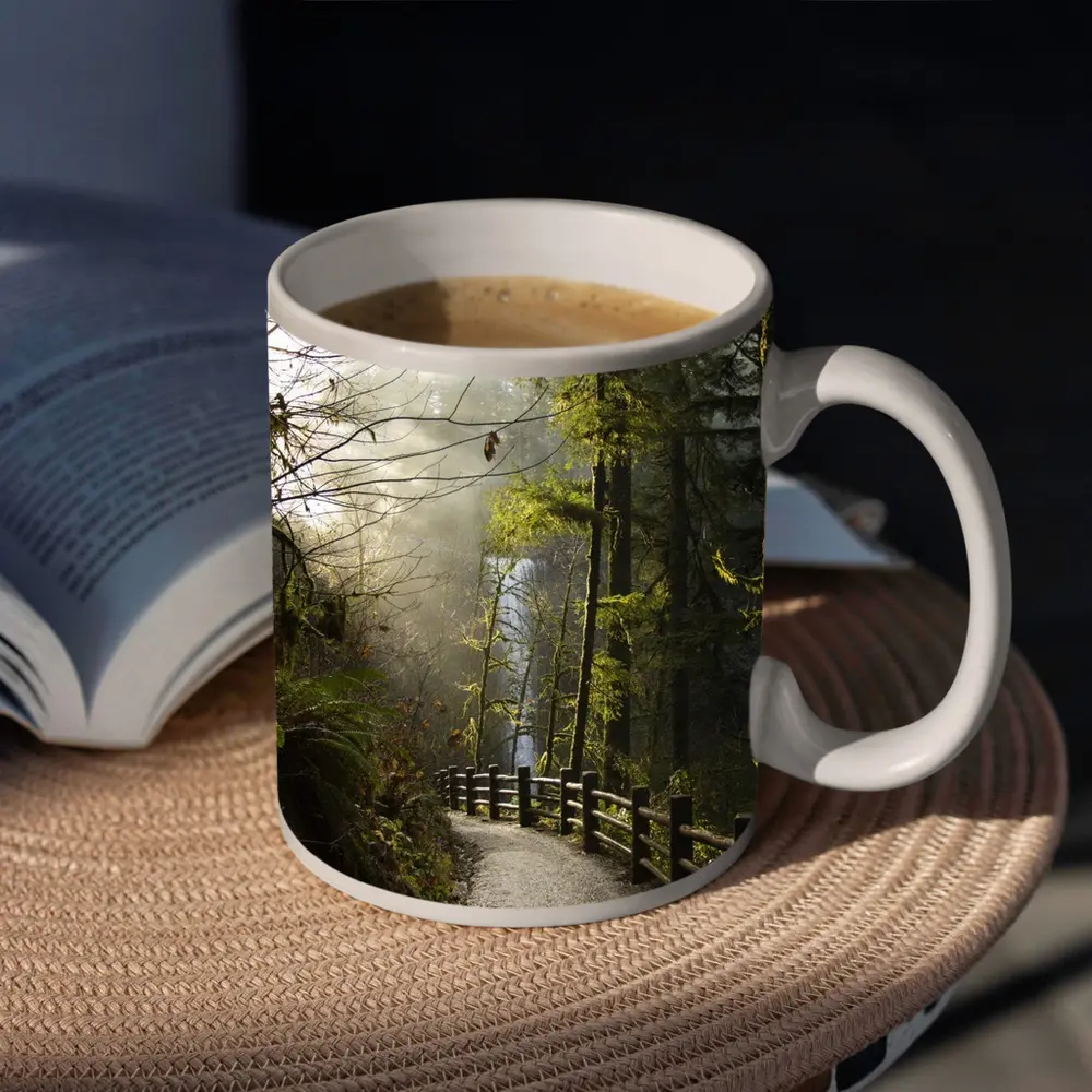 Misty Forest Trail Path Tall Trees – Mugs