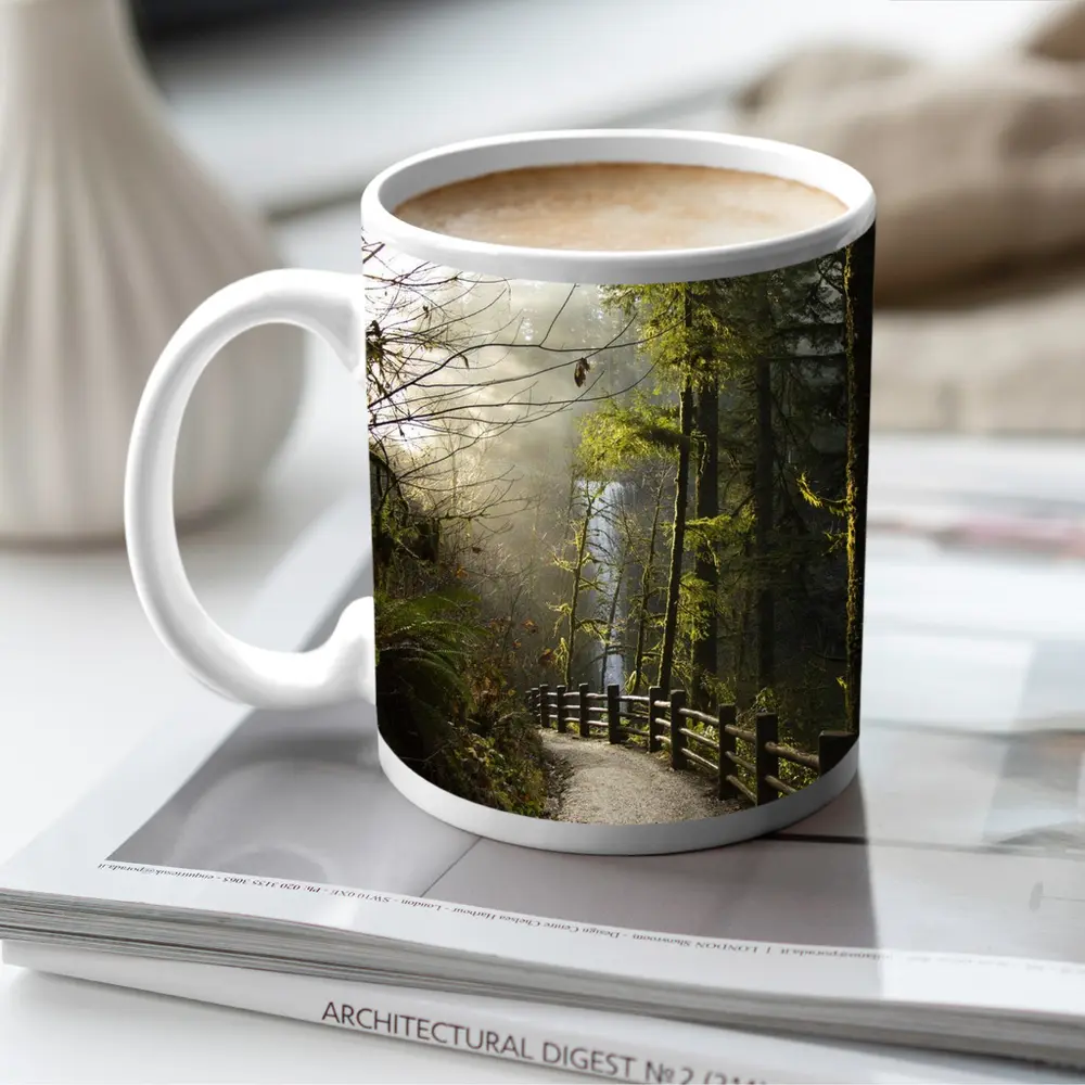 Misty Forest Trail Path Tall Trees – Mugs