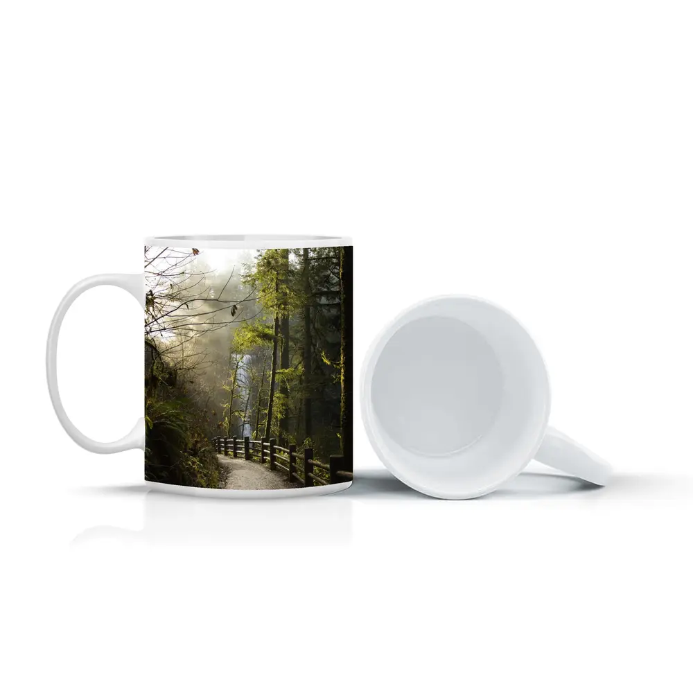 Misty Forest Trail Path Tall Trees – Mugs
