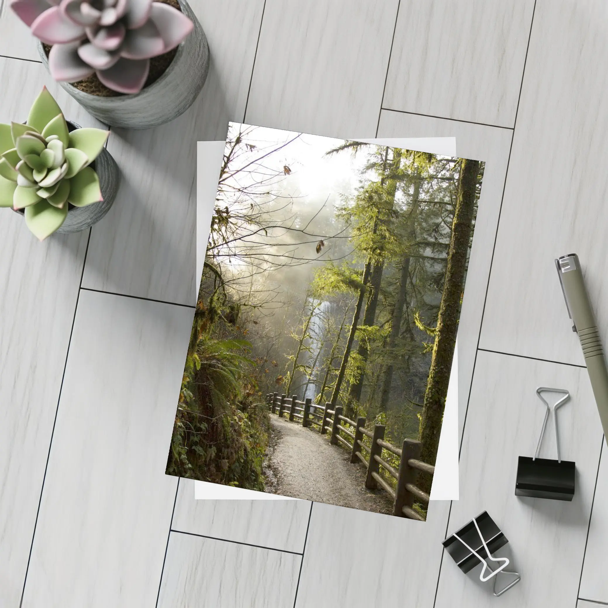 Misty Forest Trail Path Tall Trees – Postcards