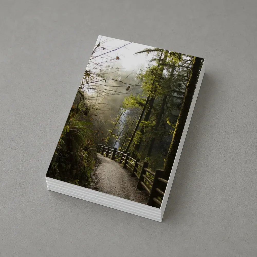 Misty Forest Trail Path Tall Trees – Postcards