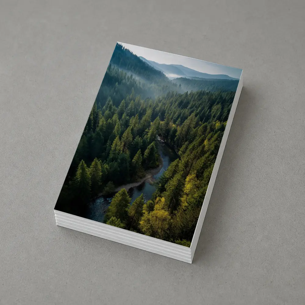 Aerial Forest River Valley Misty Mountains – Postcards