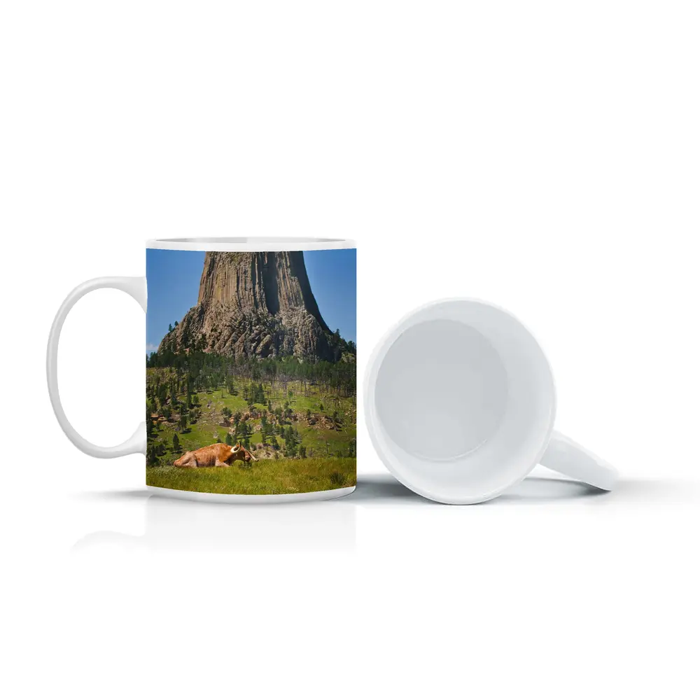 Longhorn Bull Resting at Devils Tower Wyoming – Mugs