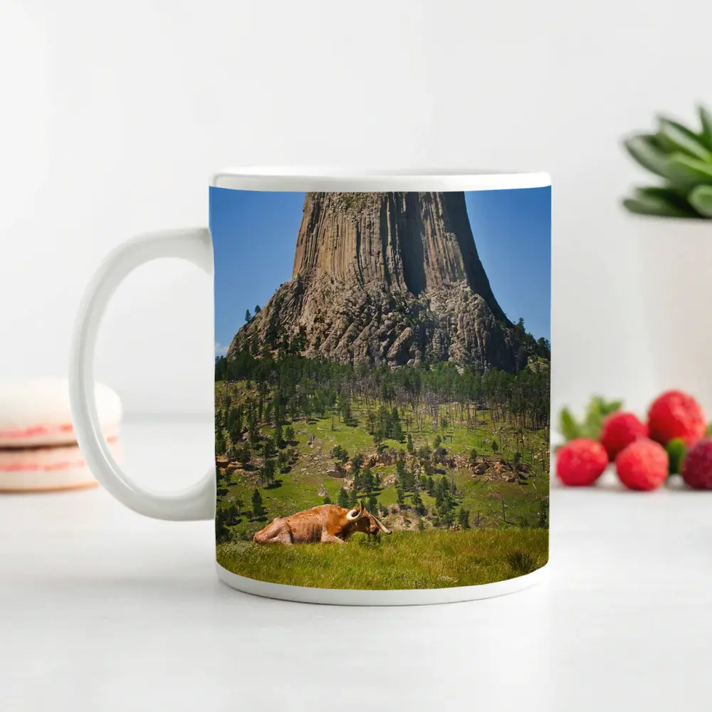Longhorn Bull Resting at Devils Tower Wyoming – Mugs