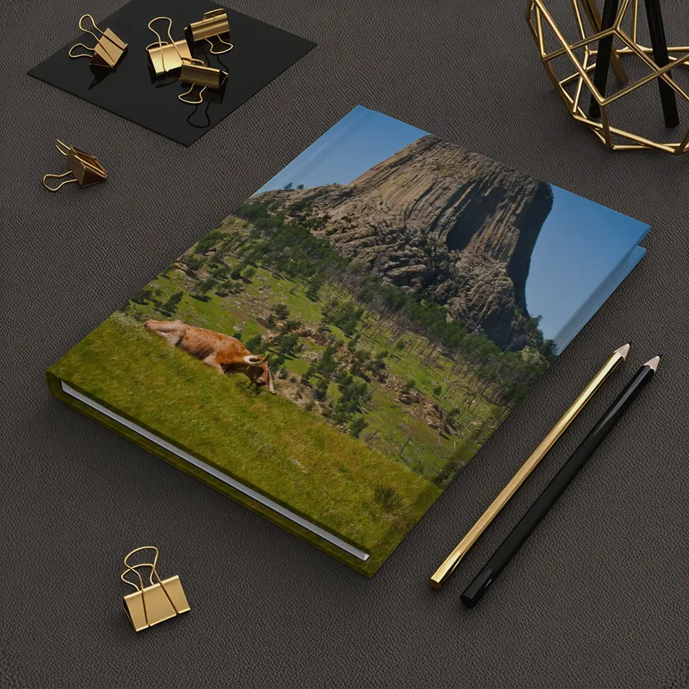 Longhorn Bull Resting at Devils Tower Wyoming – Notebooks