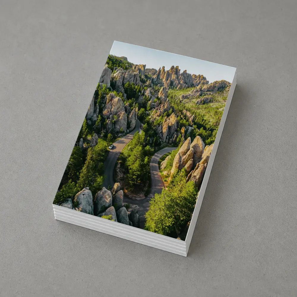 Needles Highway Winding Road South Dakota – Postcards