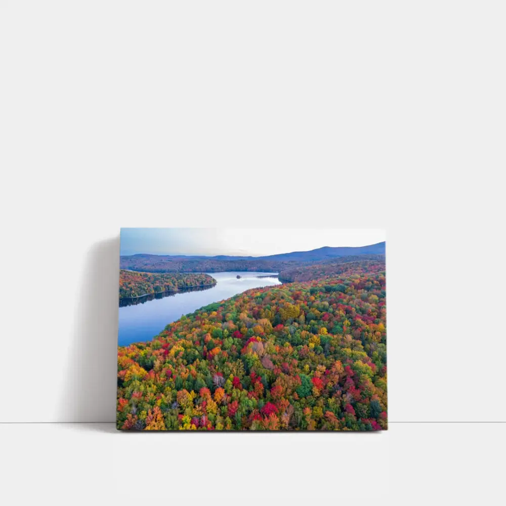Aerial Autumn Forest Lake Mountain View – Wall Art