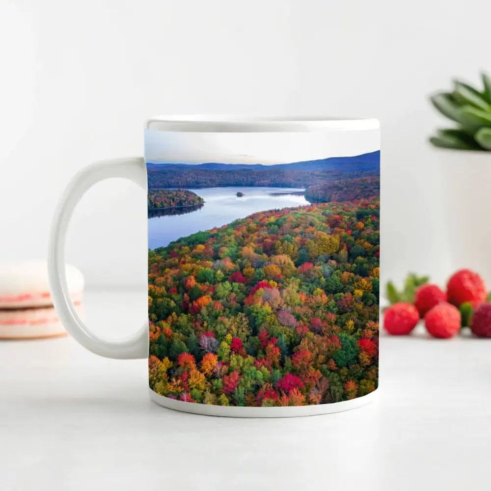 Aerial Autumn Forest Lake Mountain View – Mugs