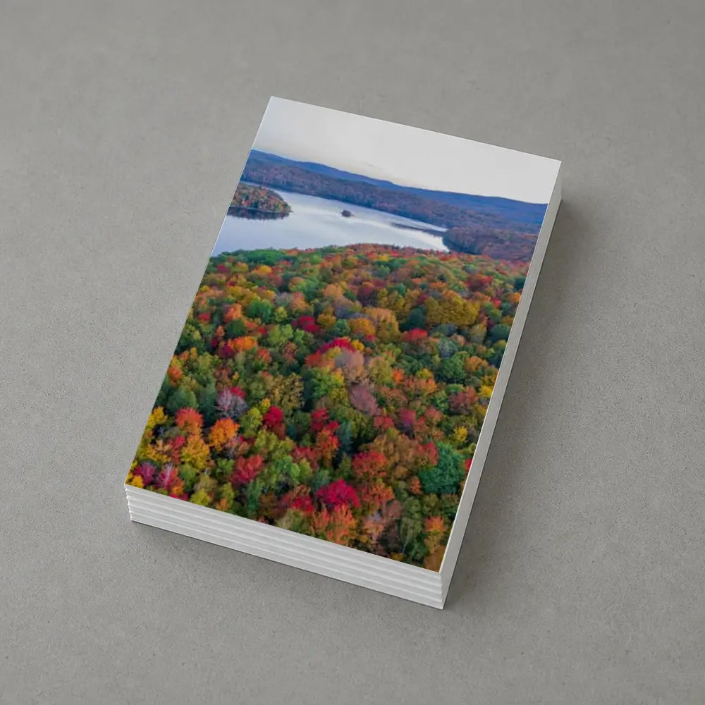 Aerial Autumn Forest Lake Mountain View – Postcards