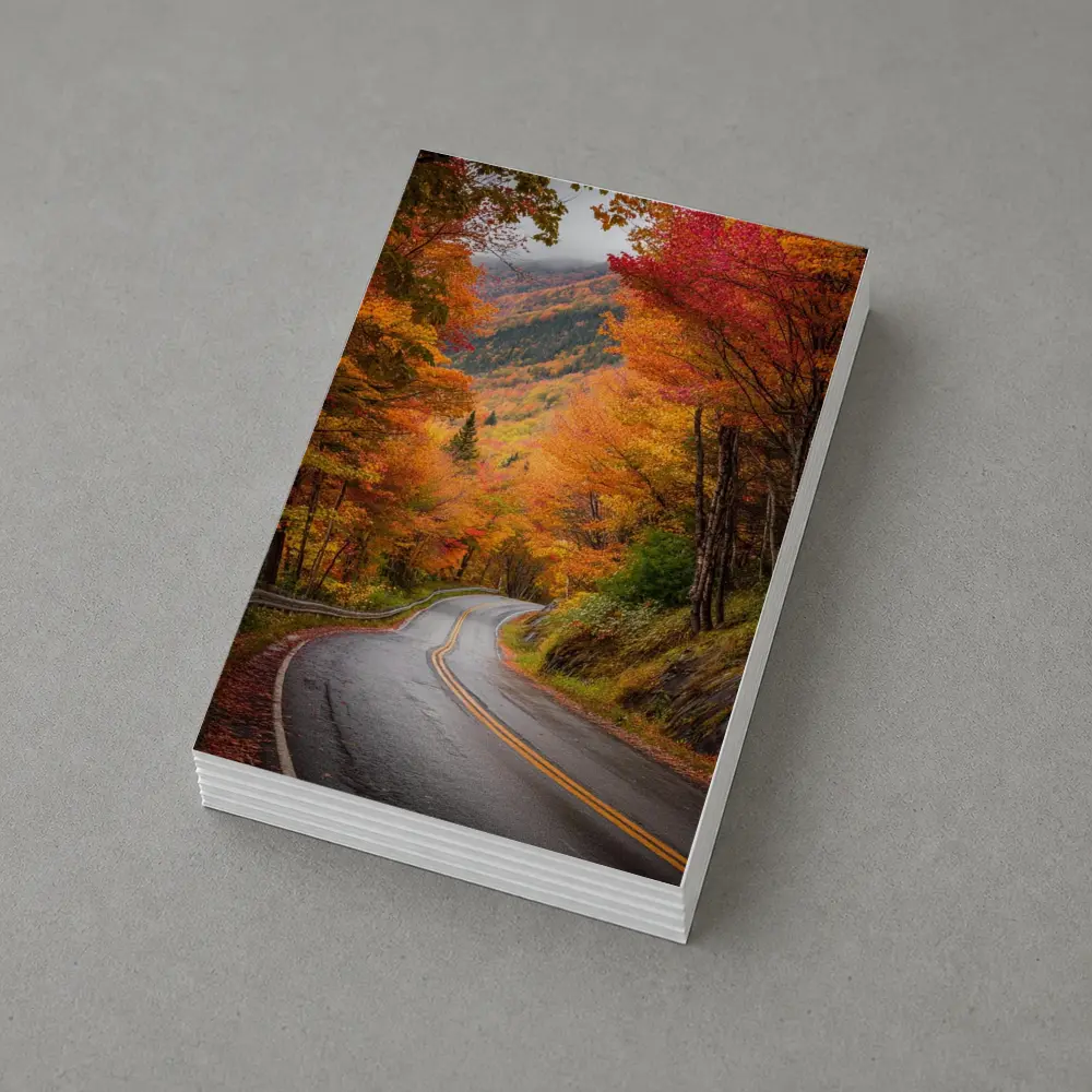 Winding Autumn Road Through Colorful Forest – Postcards