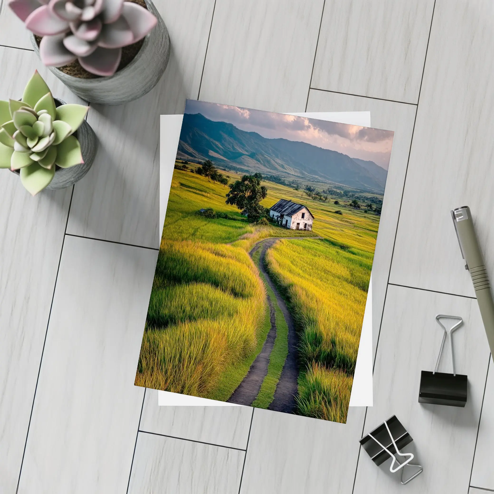 Dirt Road Through Green Rice Fields Mountains – Postcards