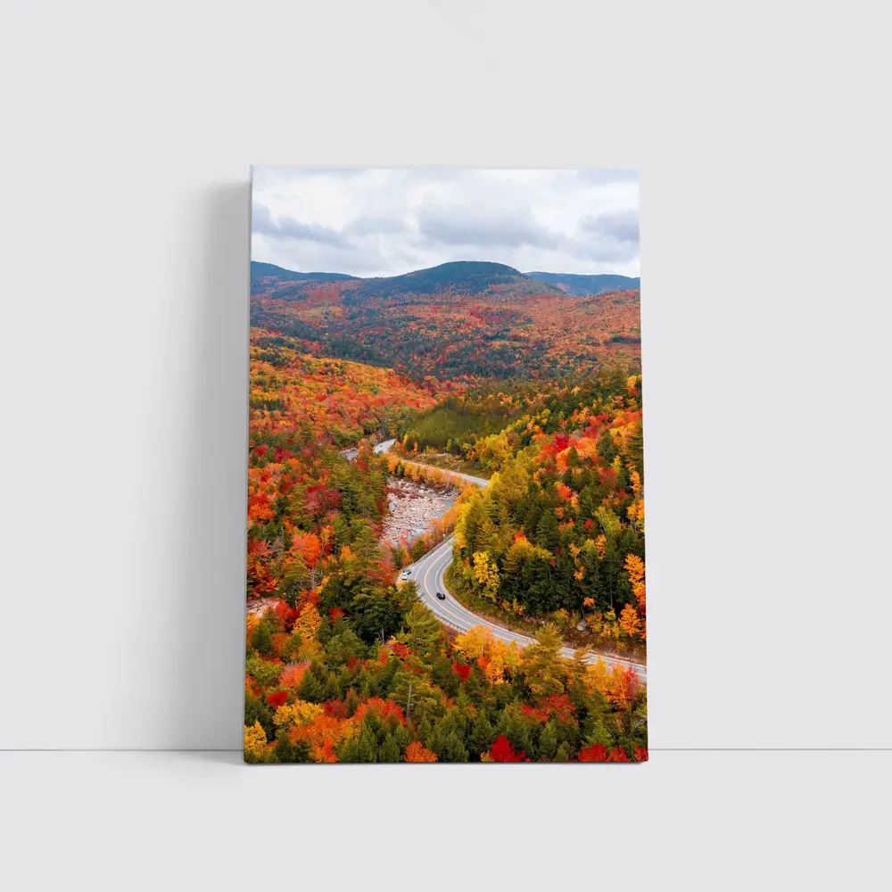 Winding Road Through Autumn Forest Valley – Wall Art