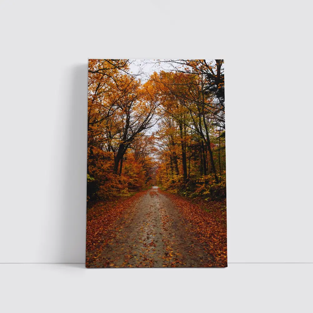 Autumn Forest Road Fallen Leaves Trees – Wall Art
