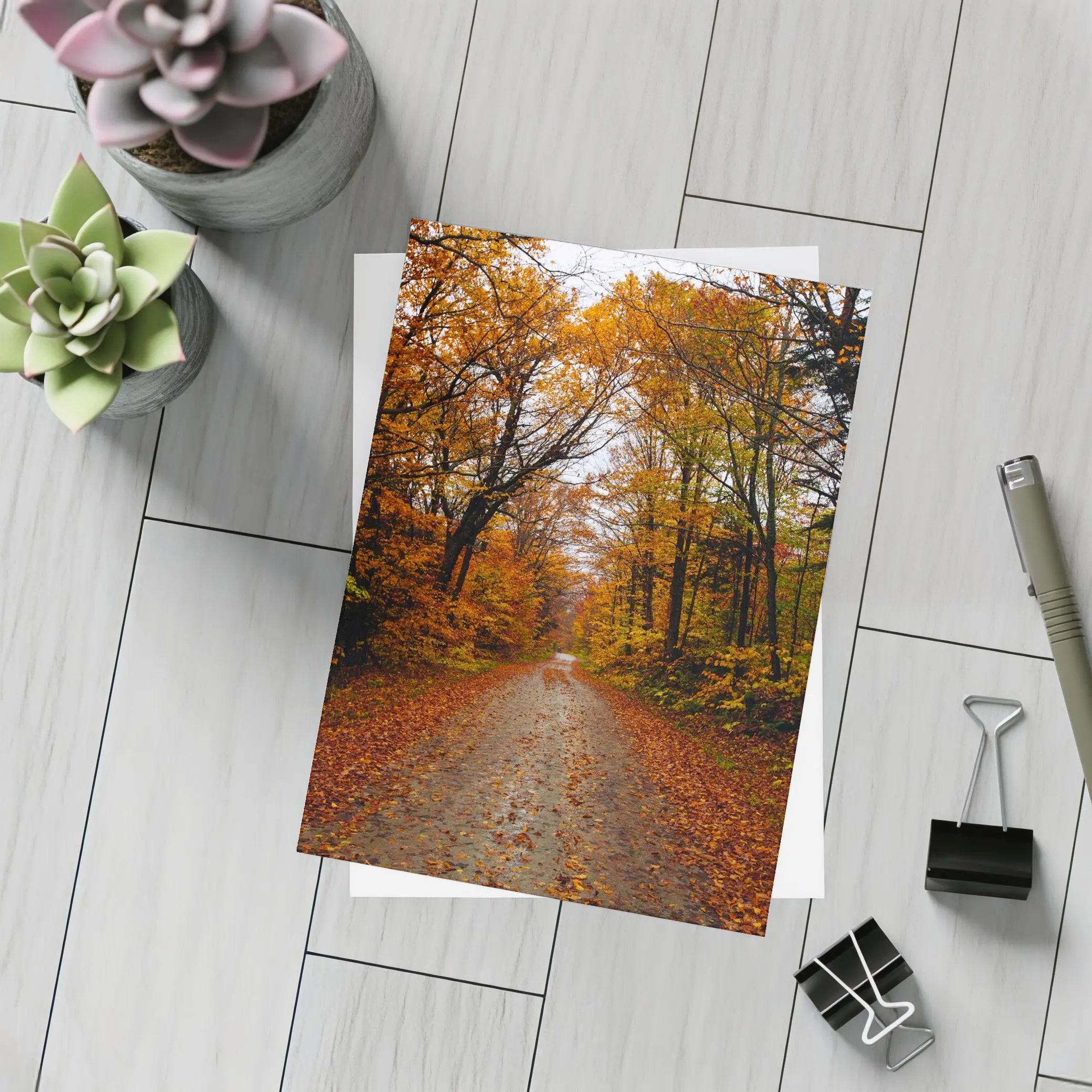 Autumn Forest Road Fallen Leaves Trees – Postcards