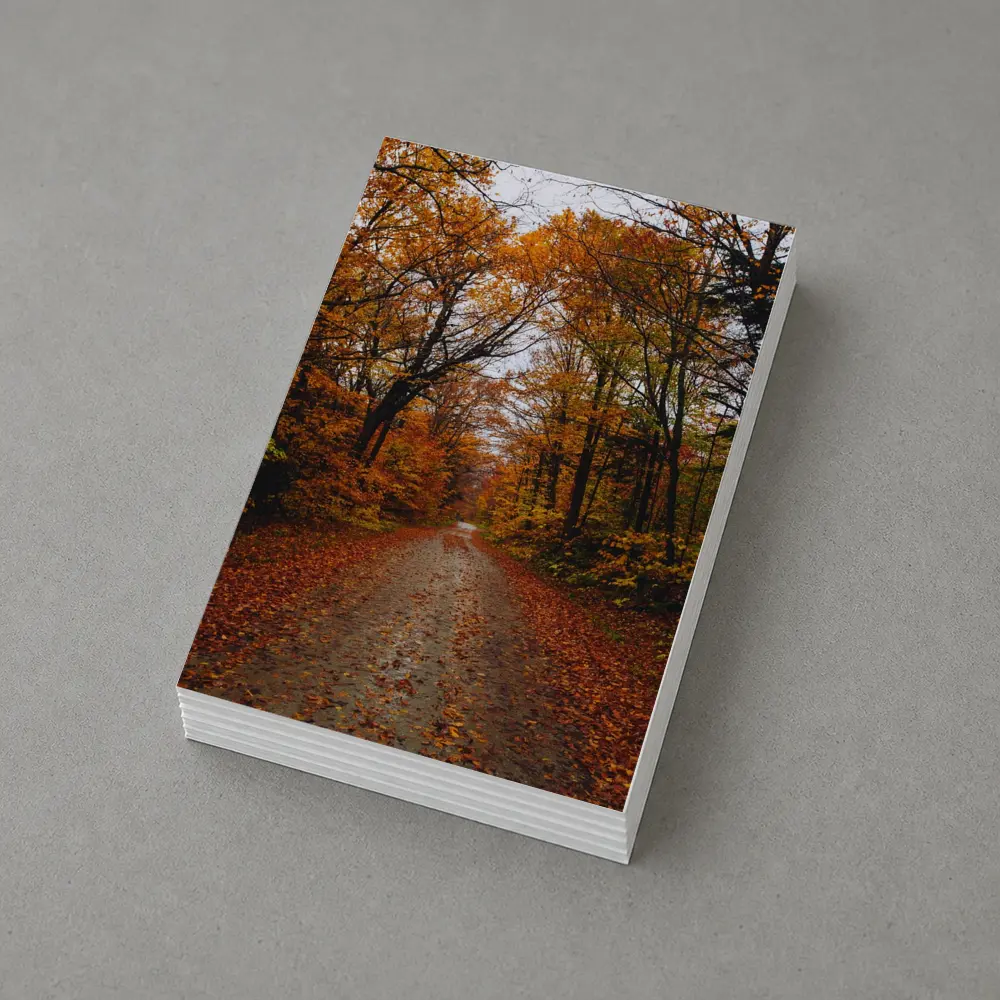 Autumn Forest Road Fallen Leaves Trees – Postcards