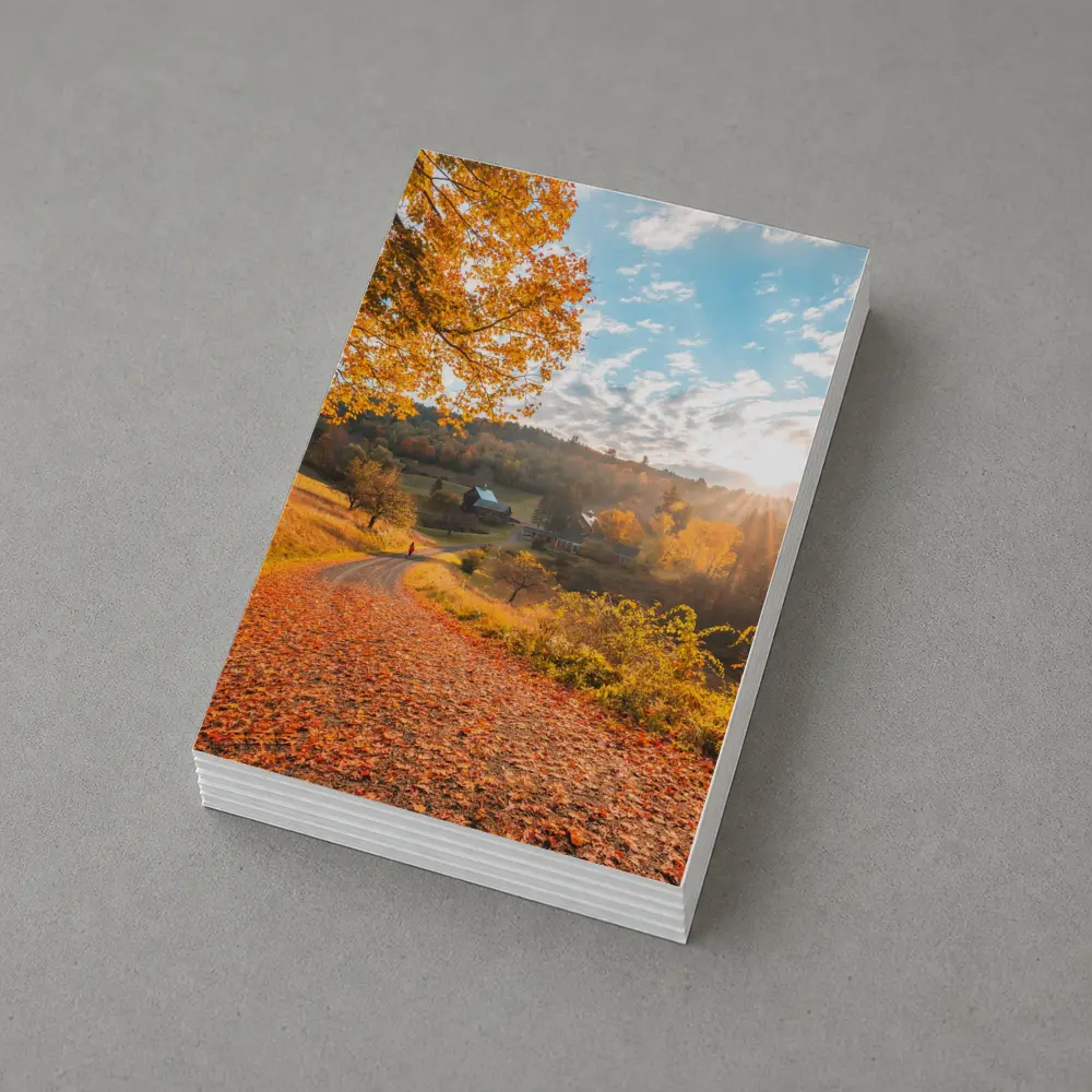 Autumn Country Road Farmhouse Golden Foliage – Postcards