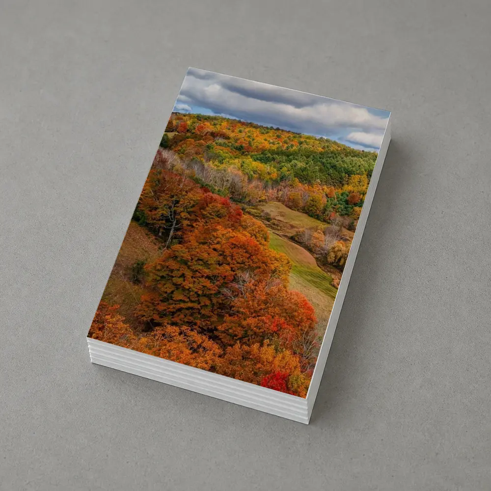 Autumn Forest Hills Rolling Green Valley – Postcards