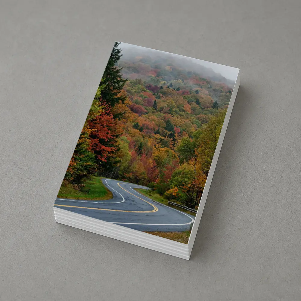 Winding Autumn Road Through Foggy Forest – Postcards