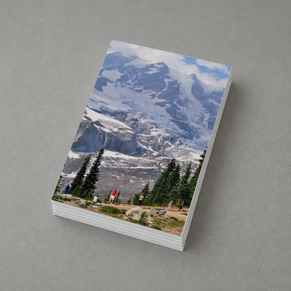 Mount Rainier Glacier Hikers Pine Trees – Postcards